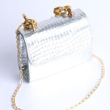 Bolso Con Cadena